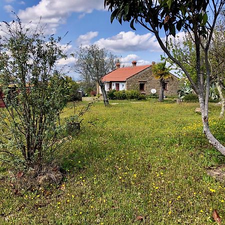Vila Casa Bela Vista Castelo de Vide Exteriér fotografie