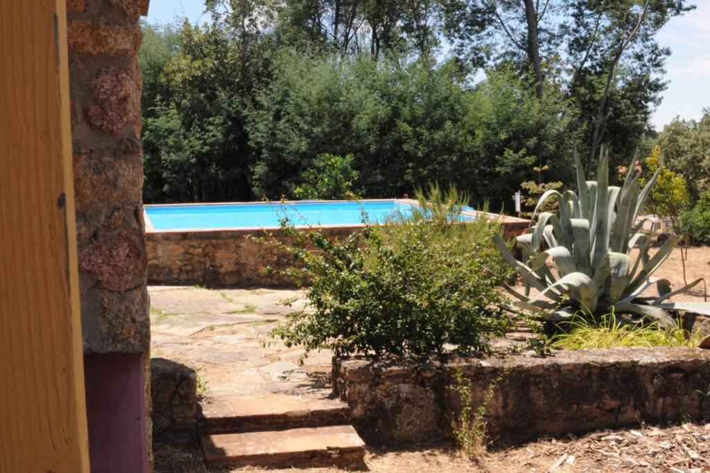 Vila Casa Bela Vista Castelo de Vide Exteriér fotografie