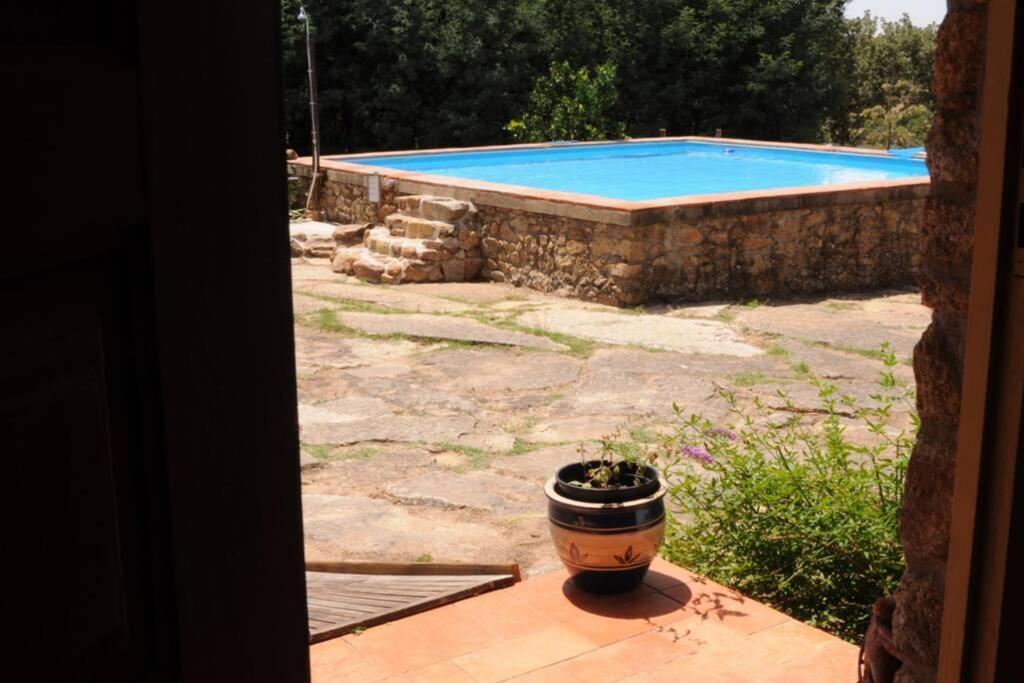 Vila Casa Bela Vista Castelo de Vide Exteriér fotografie