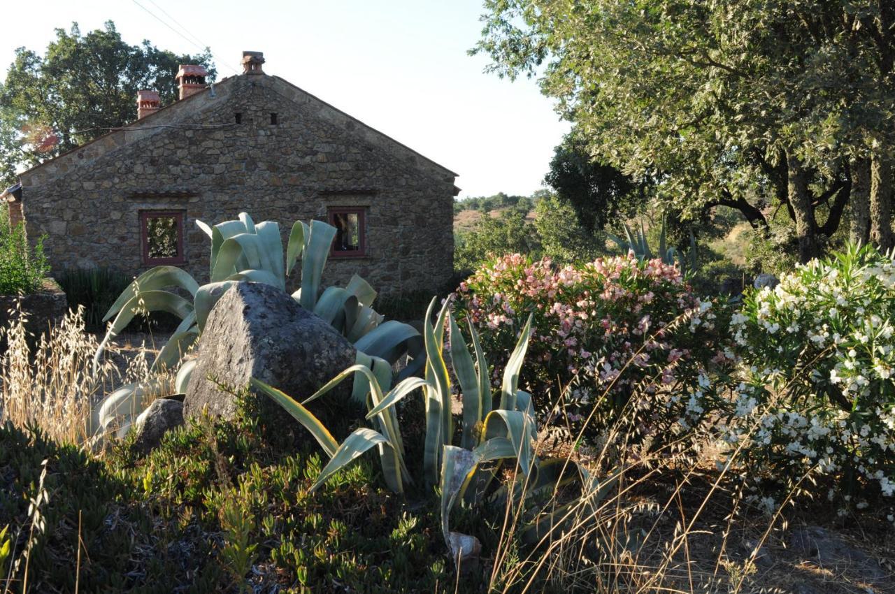 Vila Casa Bela Vista Castelo de Vide Exteriér fotografie
